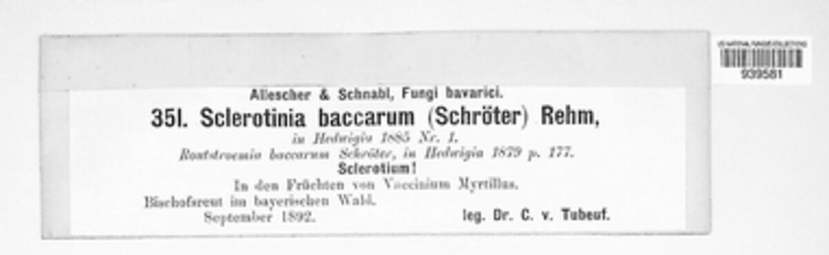 Monilinia baccarum image